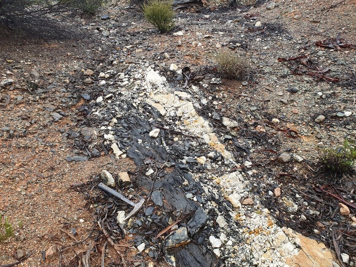 Black mica schist with quartz, shoot 4