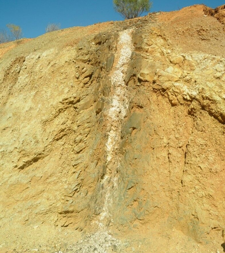 Pegmatite dyke cutting ultramafic rocks